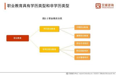2019中国职业发展教育现状与细分领域研究报告 非学历职业技能培训服务